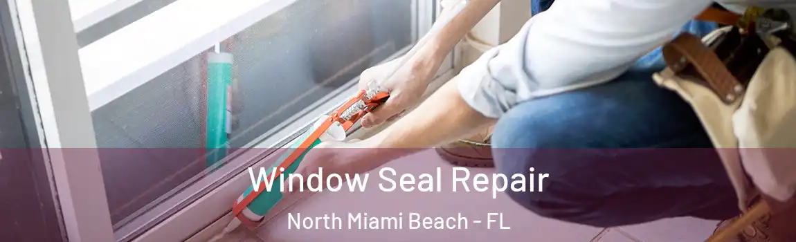  Window Seal Repair North Miami Beach - FL